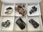 Natural Schorl Black Tourmaline with Associated Minerals x 6 From Erongo, Namibia