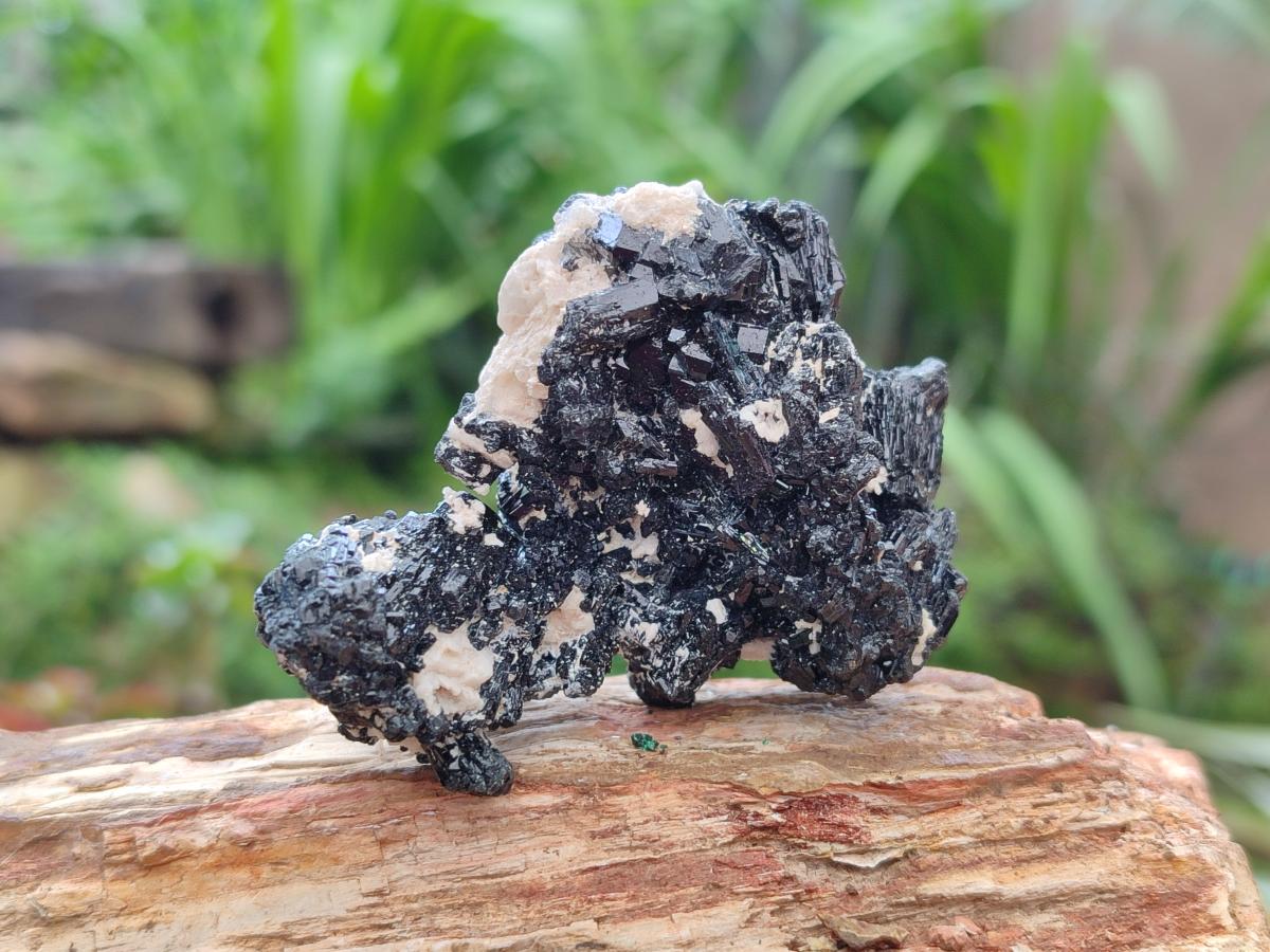 Natural Schorl Black Tourmaline with Associated Minerals x 6 From Erongo, Namibia