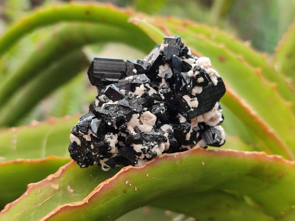 Natural Schorl Black Tourmaline with Associated Minerals x 6 From Erongo, Namibia