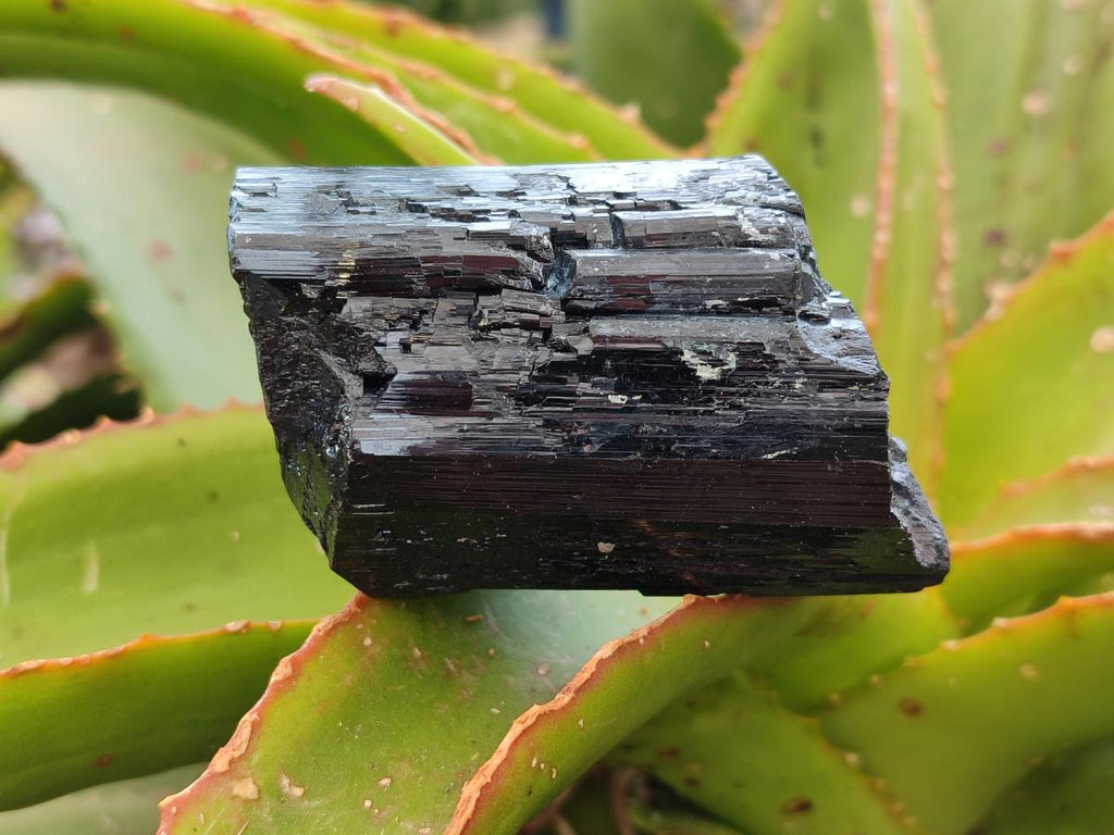 Natural Schorl Black Tourmaline with Associated Minerals x 6 From Erongo, Namibia