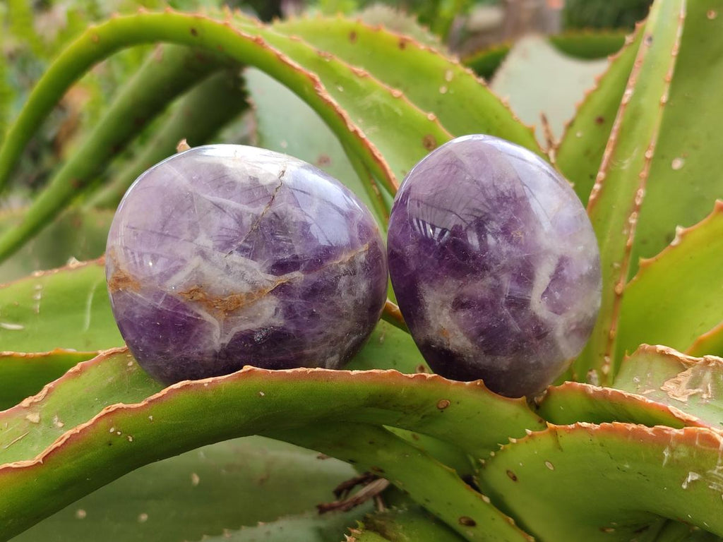 Polished Purple Chevron Amethyst Galets x 12 From Madagascar