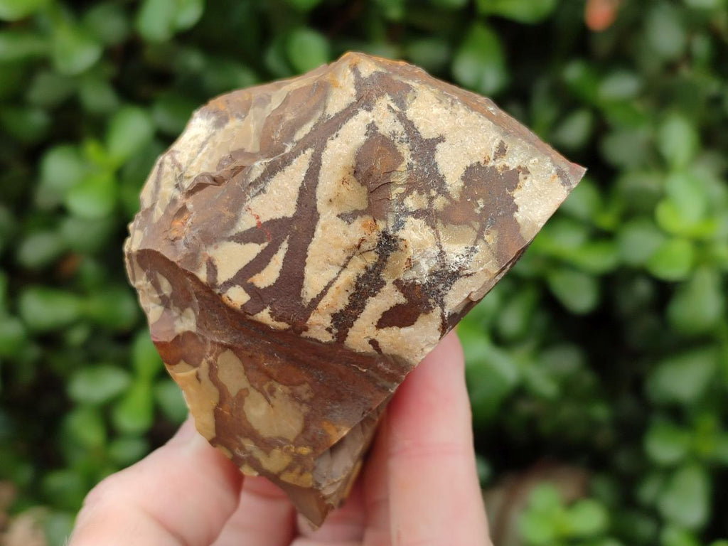 Natural Nguni Jasper Cobbed Specimens x 12 From Northern Cape, South Africa