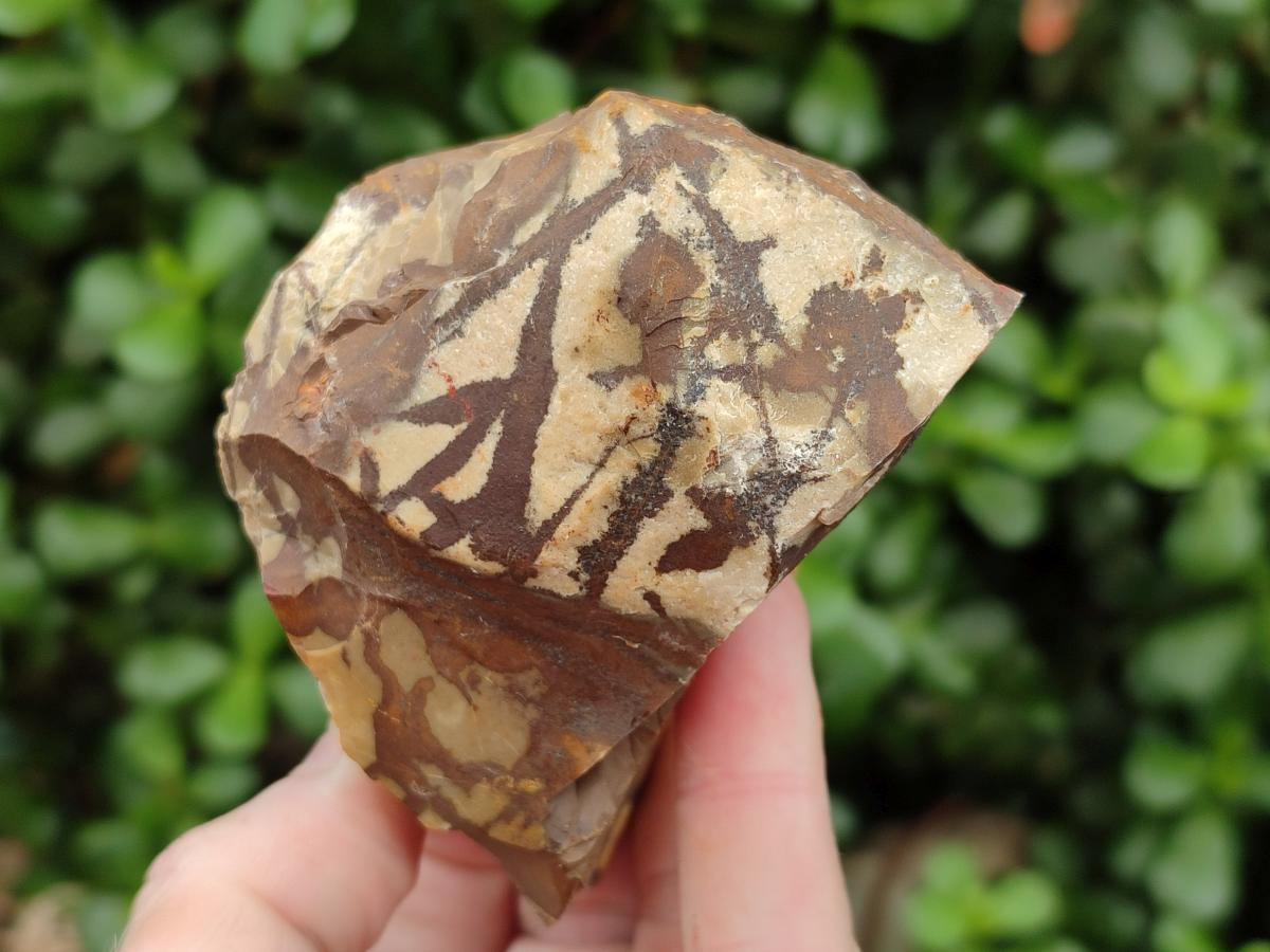 Natural Nguni Jasper Cobbed Specimens x 12 From Northern Cape, South Africa