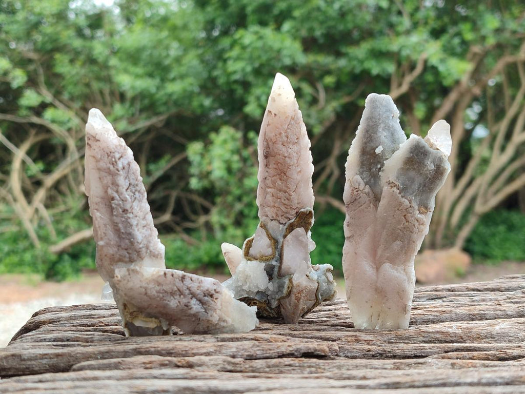 Natural Drusy Quartz Coated Spearhead Calcite Specimens x 12 From Albert's Mountain, Lesotho