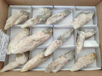 Natural Drusy Quartz Coated Spearhead Calcite Specimens x 12 From Albert's Mountain, Lesotho