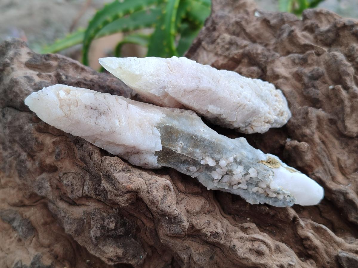 Natural Drusy Quartz Coated Spearhead Calcite Specimens x 12 From Albert's Mountain, Lesotho