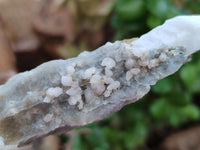 Natural Drusy Quartz Coated Spearhead Calcite Specimens x 12 From Albert's Mountain, Lesotho