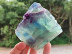 Polished On One Side Watermelon Fluorite Slices x 4 From Uis, Namibia