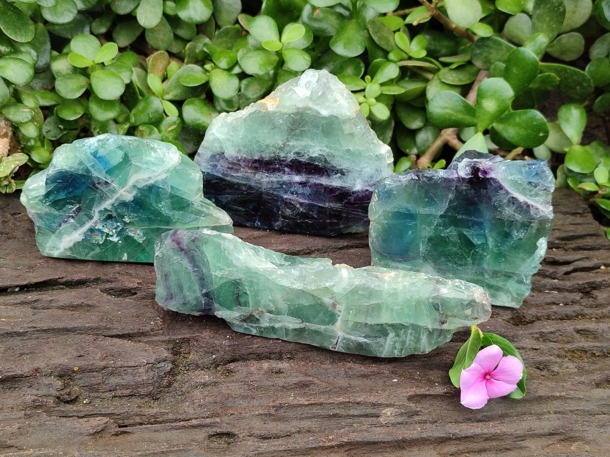 Polished On One Side Watermelon Fluorite Slices x 4 From Uis, Namibia