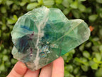 Polished On One Side Watermelon Fluorite Slices x 4 From Uis, Namibia