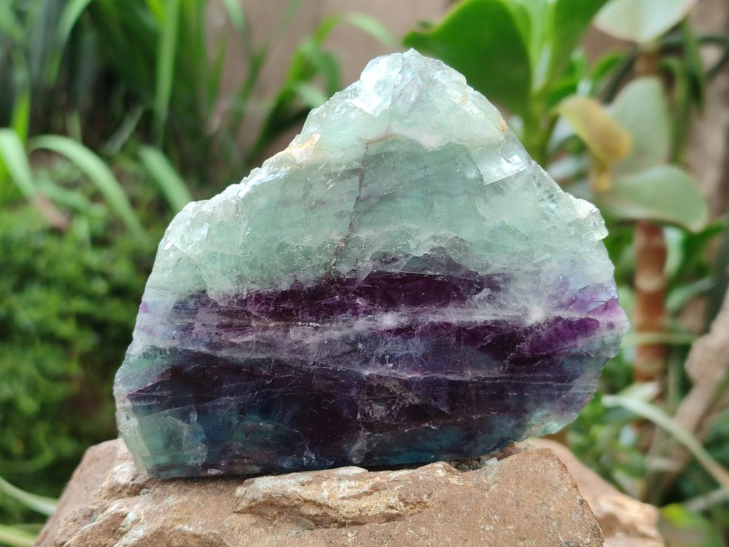 Polished On One Side Watermelon Fluorite Slices x 4 From Uis, Namibia