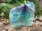 Polished On One Side Watermelon Fluorite Slices x 4 From Uis, Namibia
