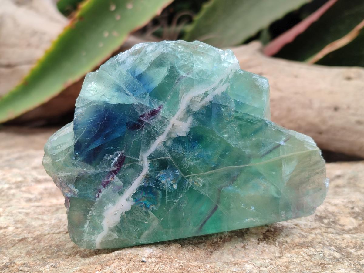 Polished On One Side Watermelon Fluorite Slices x 4 From Uis, Namibia