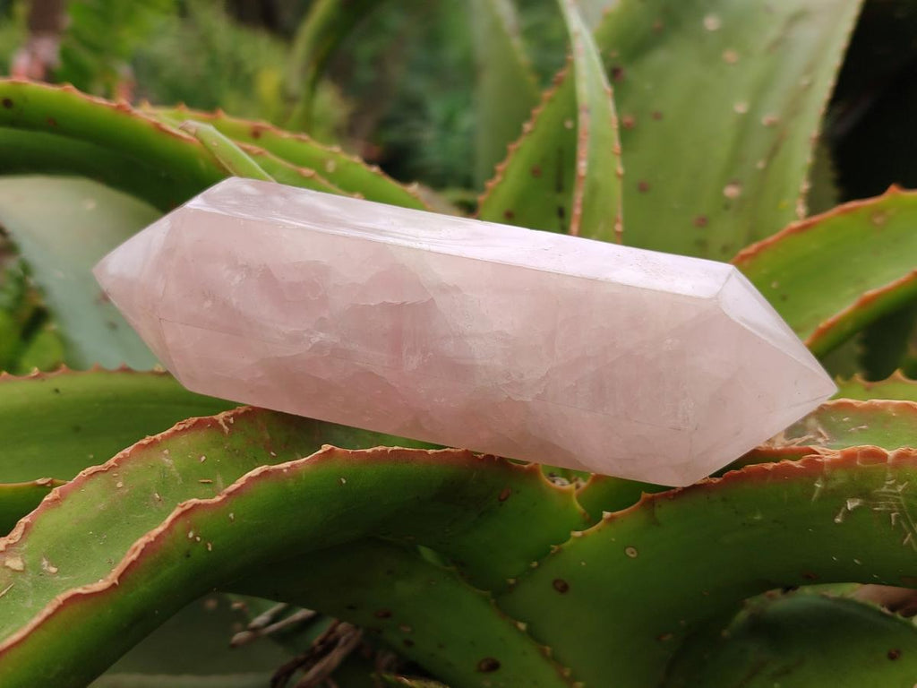 Polished Double Terminated Rose Quartz Crystals x 6 From Madagascar - Toprock Gemstones and Minerals 