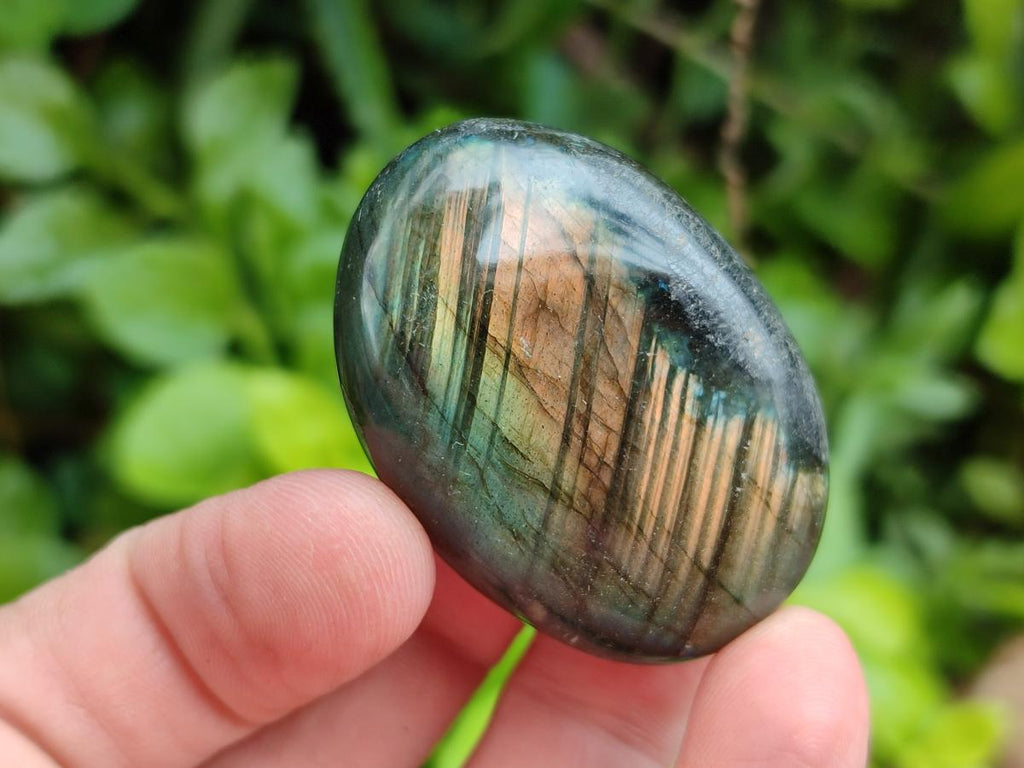 Polished Labradorite Galets x 12 From Tulear, Madagascar