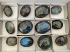Polished Labradorite Galets x 12 From Tulear, Madagascar
