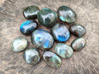 Polished Labradorite Galets x 12 From Tulear, Madagascar