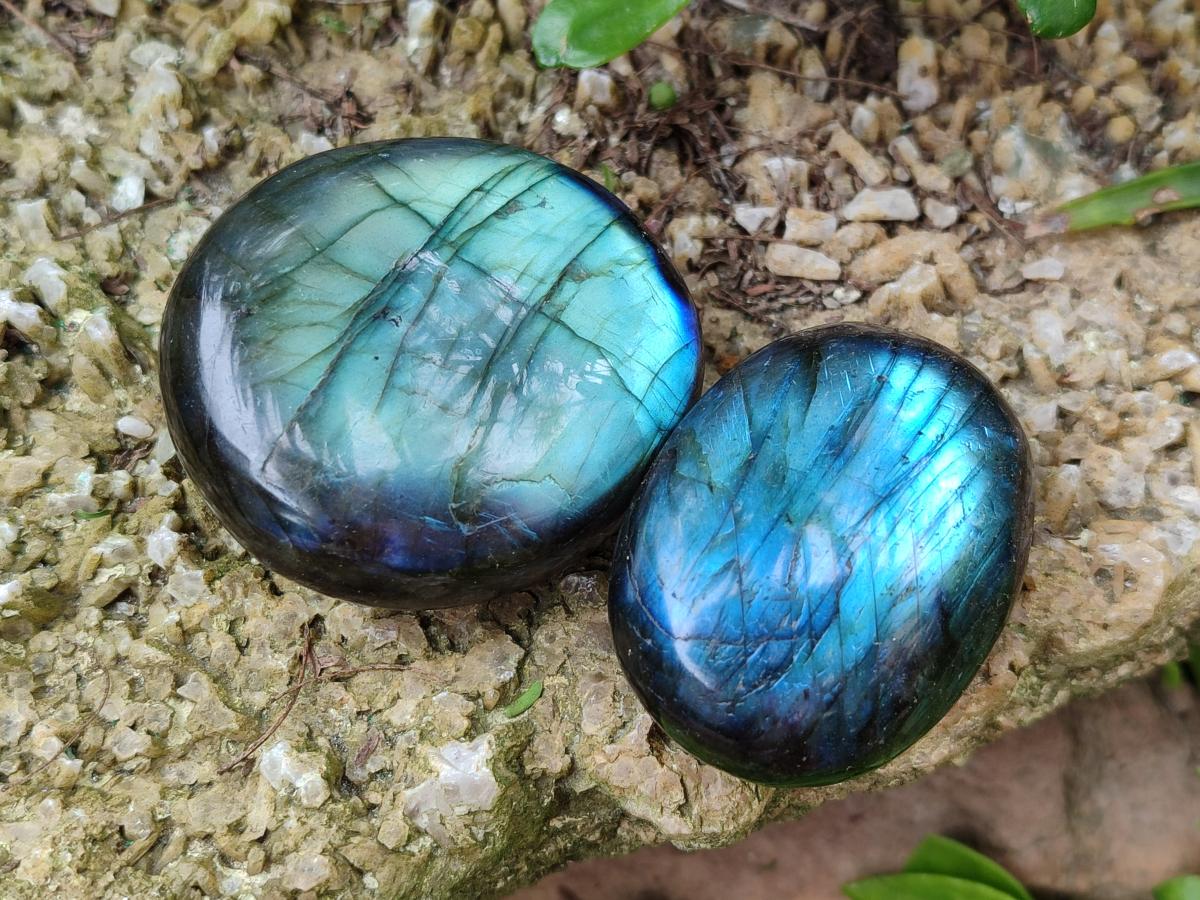 Polished Labradorite Galets x 12 From Tulear, Madagascar