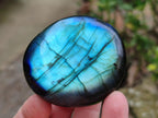 Polished Labradorite Galets x 12 From Tulear, Madagascar