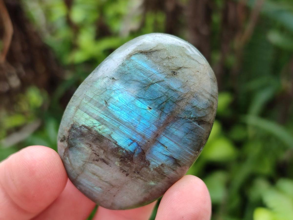 Polished Labradorite Galets x 12 From Tulear, Madagascar