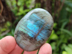Polished Labradorite Galets x 12 From Tulear, Madagascar