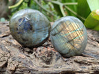 Polished Labradorite Galets x 12 From Tulear, Madagascar
