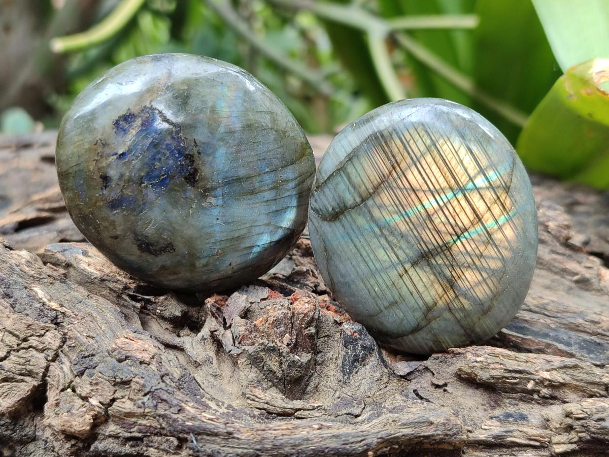 Polished Labradorite Galets x 12 From Tulear, Madagascar