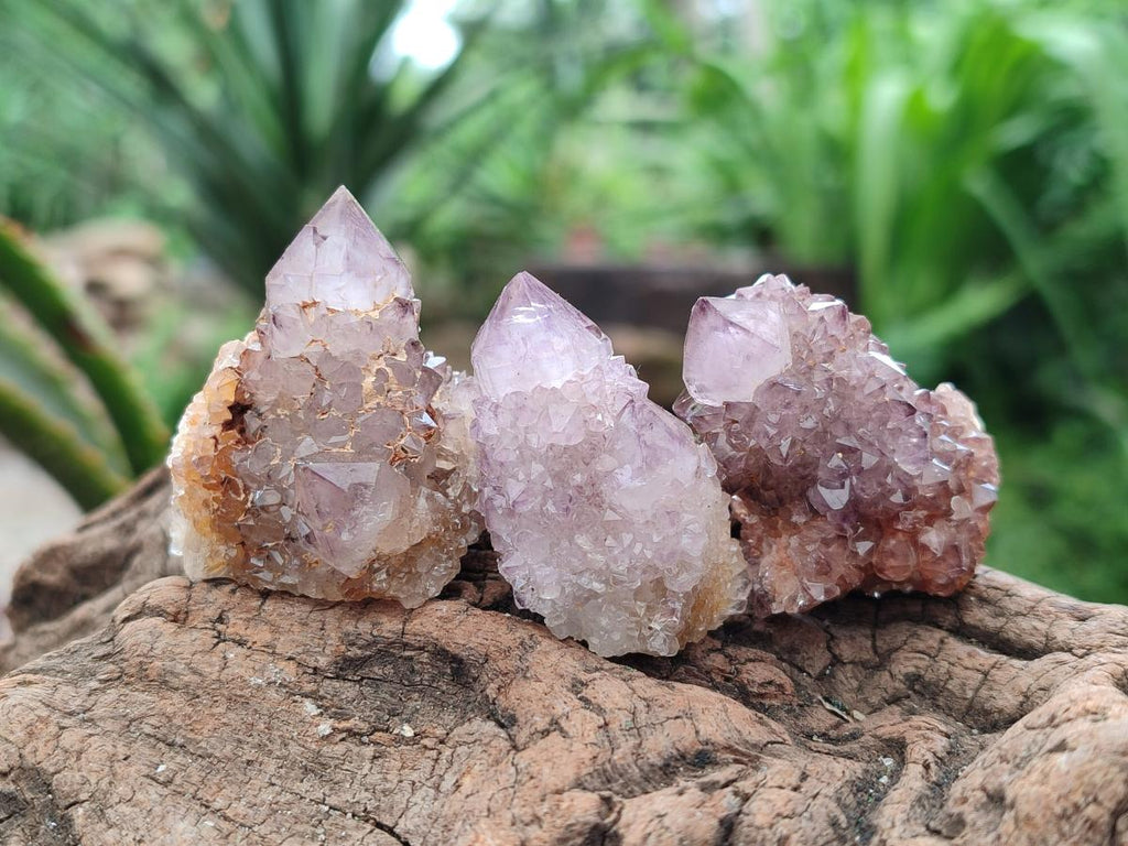 Natural Smokey Amethyst Spirit Crystals x 35 From Boekenhouthoek, South Africa