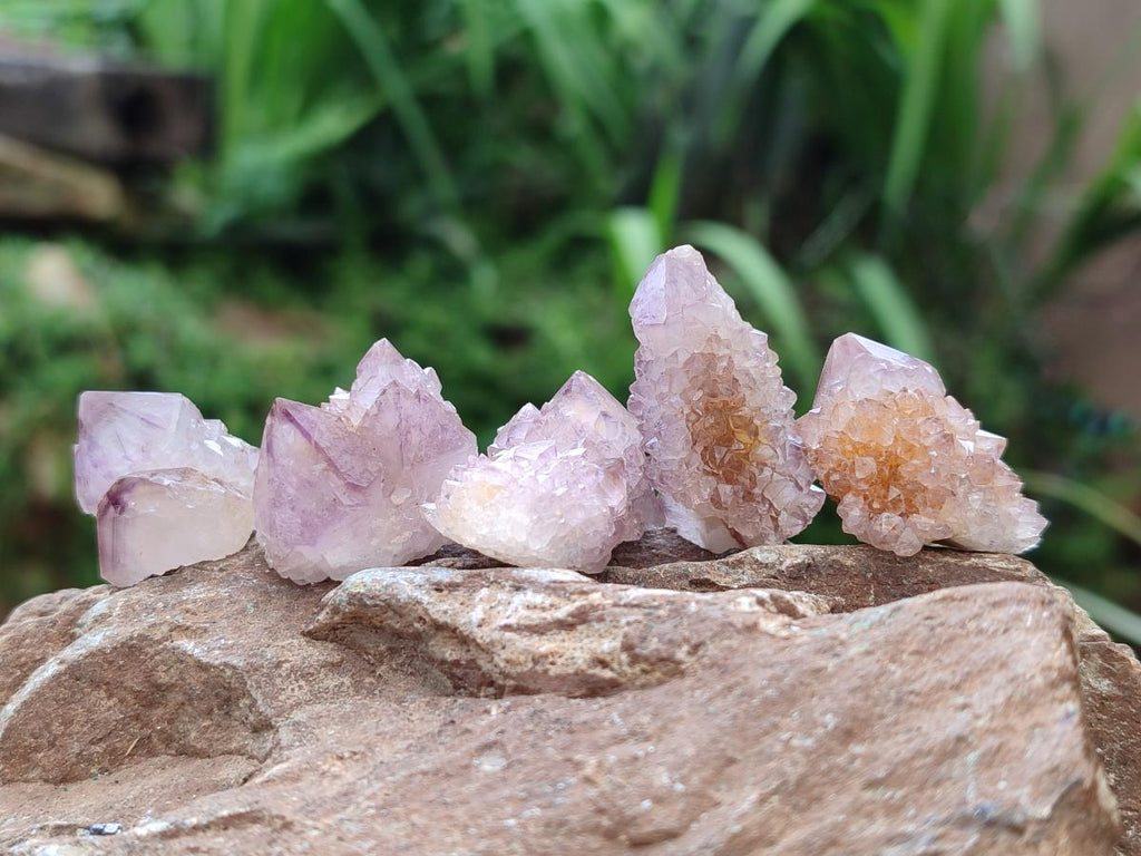 Natural Smokey Amethyst Spirit Crystals x 35 From Boekenhouthoek, South Africa