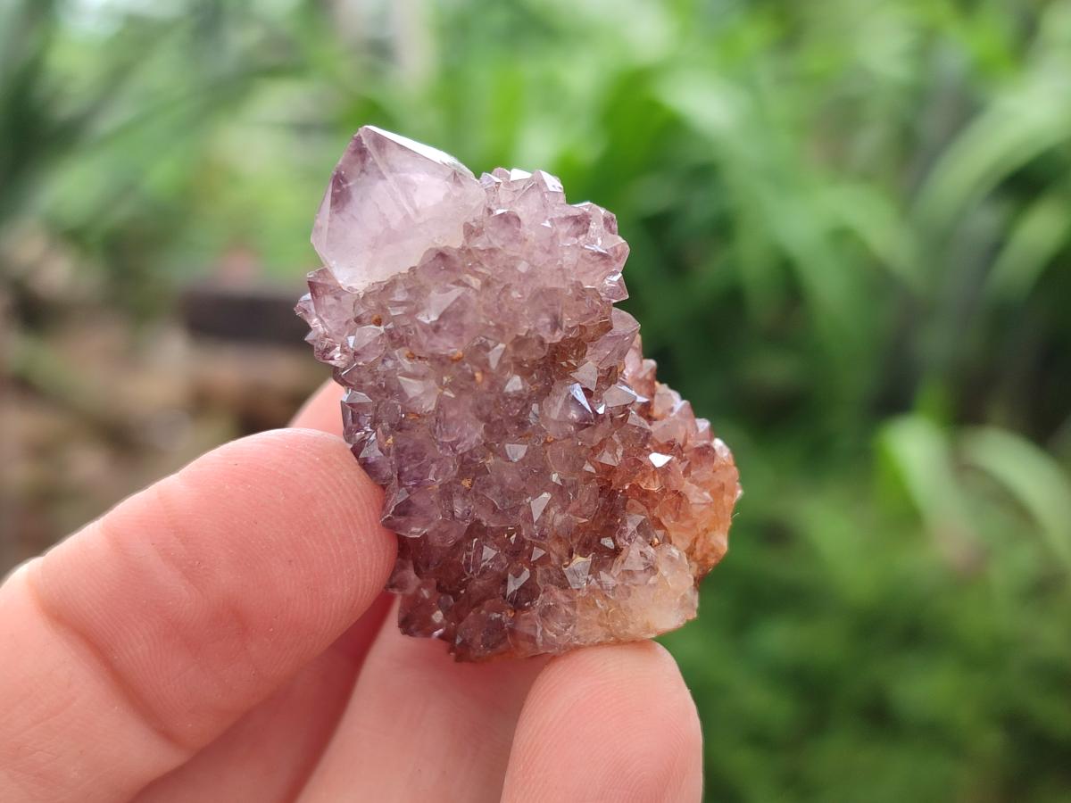 Natural Smokey Amethyst Spirit Crystals x 35 From Boekenhouthoek, South Africa