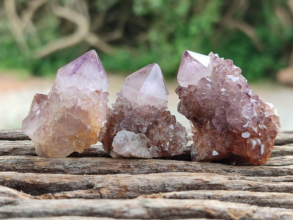 Natural Smokey Amethyst Spirit Crystals x 35 From Boekenhouthoek, South Africa
