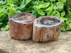 Polished On One Side Petrified Wood Branches x 3 From Gokwe, Zimbabwe