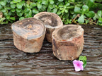 Polished On One Side Petrified Wood Branches x 3 From Gokwe, Zimbabwe