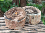 Polished On One Side Petrified Wood Branches x 3 From Gokwe, Zimbabwe