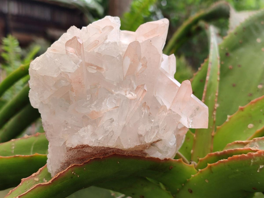 Natural Mixed Clear Quartz Crystals and Clusters x 4 From Madagascar