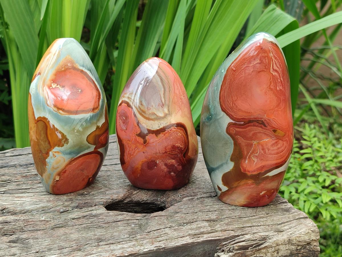 Polished Polychrome Jasper Standing Free Forms x 3 From NW Coast, Madagascar