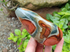 Polished Polychrome Jasper Standing Free Forms x 3 From NW Coast, Madagascar