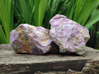 Natural Stichtite Cobbed Specimens x 4 From Barberton, South Africa