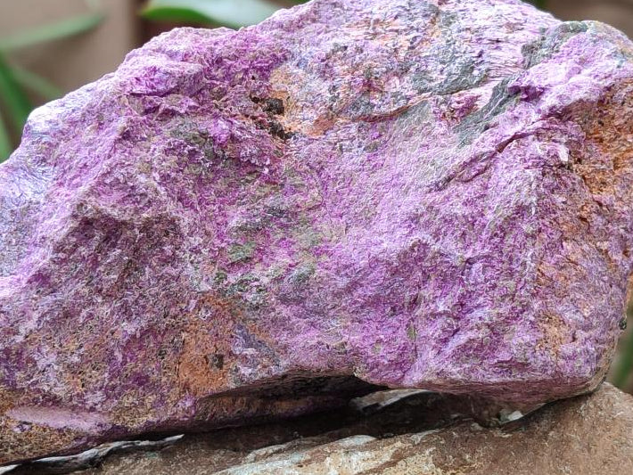 Natural Stichtite Cobbed Specimens x 4 From Barberton, South Africa