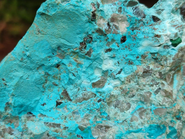 Natural Shattuckite and Chrysocolla Specimens x 5 From Koakoveld, Namibia