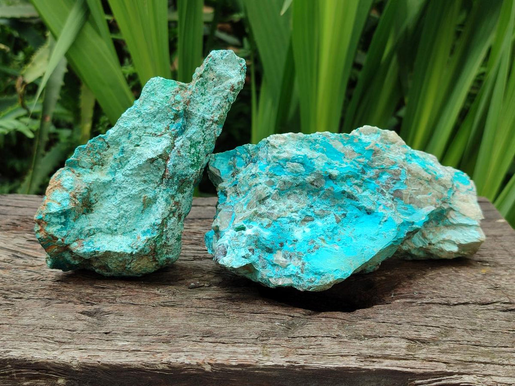 Natural Shattuckite and Chrysocolla Specimens x 5 From Koakoveld, Namibia - Toprock Gemstones and Minerals 