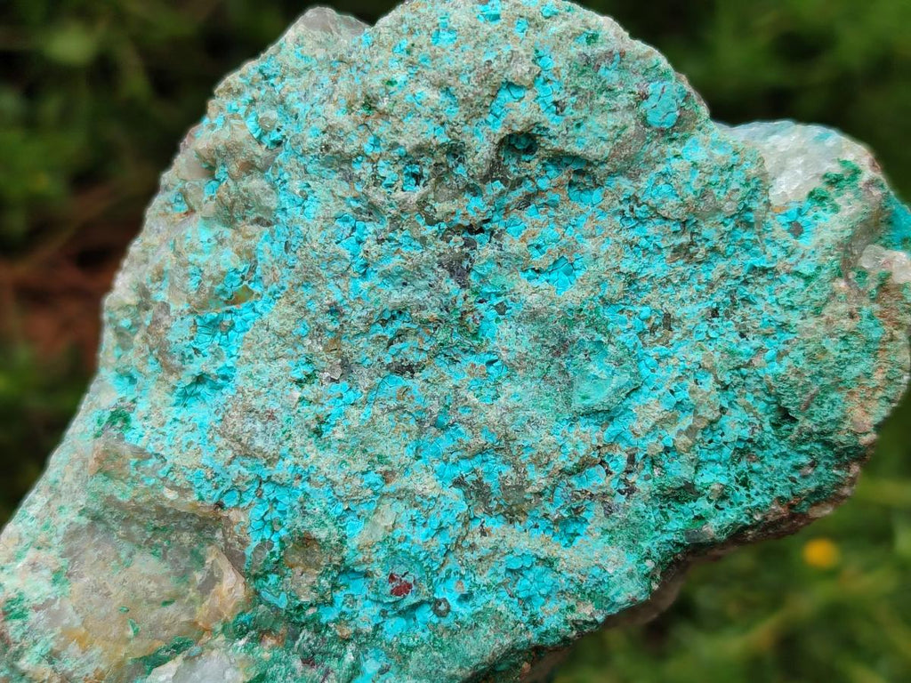 Natural Shattuckite and Chrysocolla Specimens x 5 From Koakoveld, Namibia - Toprock Gemstones and Minerals 
