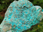 Natural Shattuckite and Chrysocolla Specimens x 5 From Koakoveld, Namibia - Toprock Gemstones and Minerals 