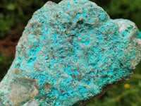 Natural Shattuckite and Chrysocolla Specimens x 5 From Koakoveld, Namibia