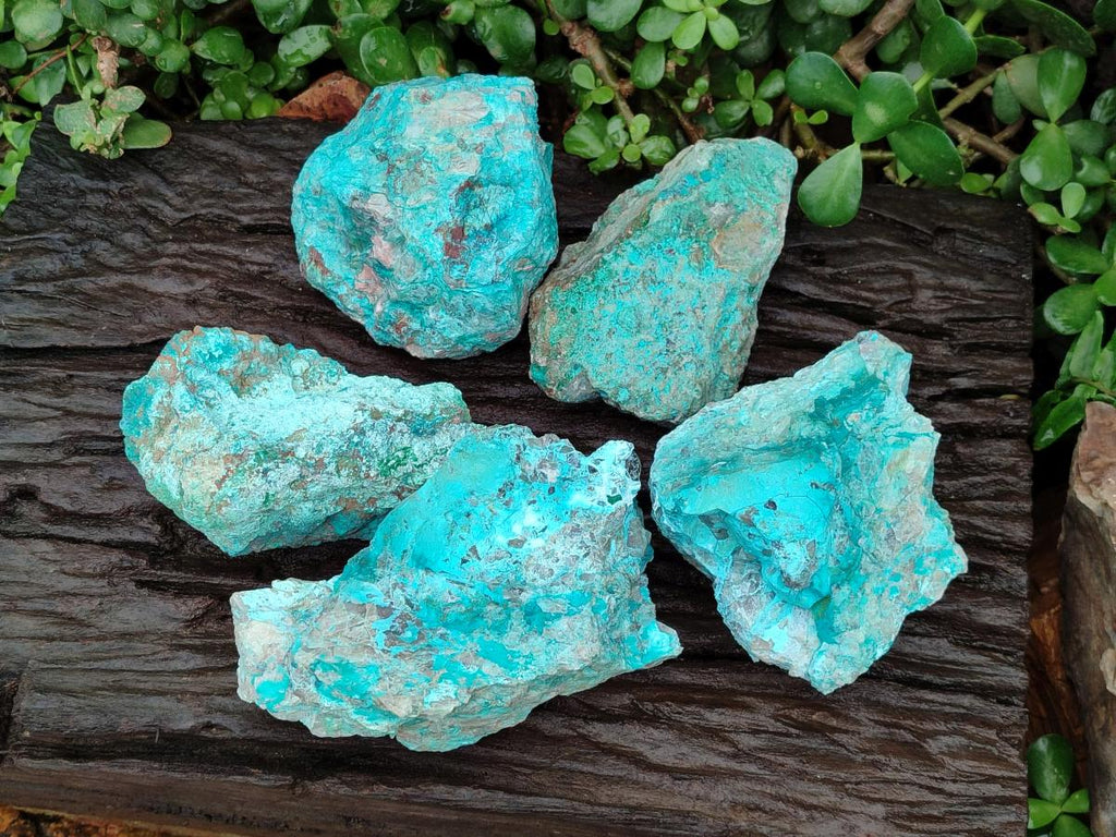 Natural Shattuckite and Chrysocolla Specimens x 5 From Koakoveld, Namibia - Toprock Gemstones and Minerals 