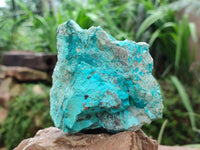 Natural Shattuckite and Chrysocolla Specimens x 5 From Koakoveld, Namibia