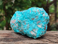 Natural Shattuckite and Chrysocolla Specimens x 5 From Koakoveld, Namibia