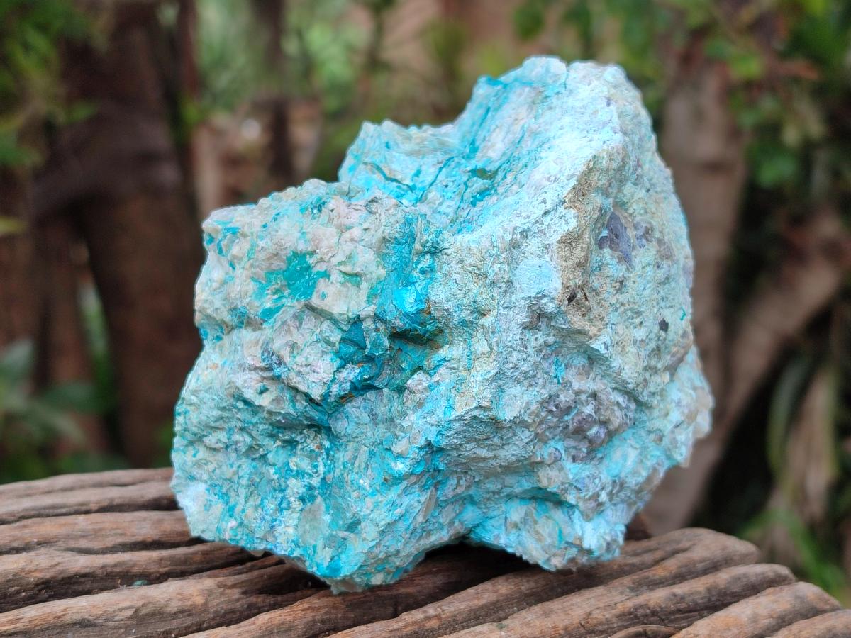 Natural Shattuckite and Chrysocolla Specimens x 5 From Koakoveld, Namibia - Toprock Gemstones and Minerals 