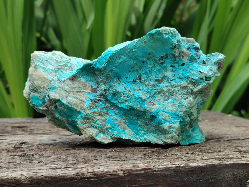 Natural Shattuckite and Chrysocolla Specimens x 5 From Koakoveld, Namibia - Toprock Gemstones and Minerals 