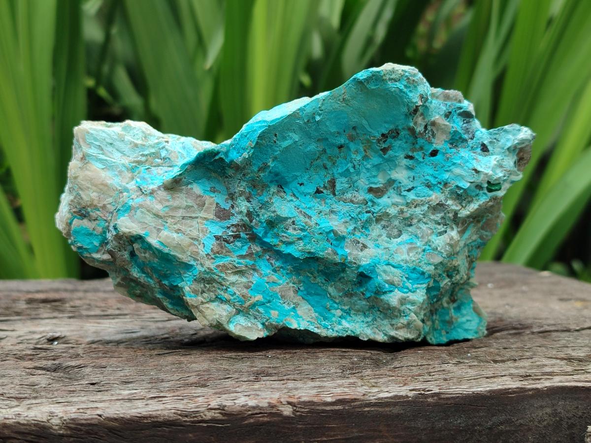 Natural Shattuckite and Chrysocolla Specimens x 5 From Koakoveld, Namibia - Toprock Gemstones and Minerals 
